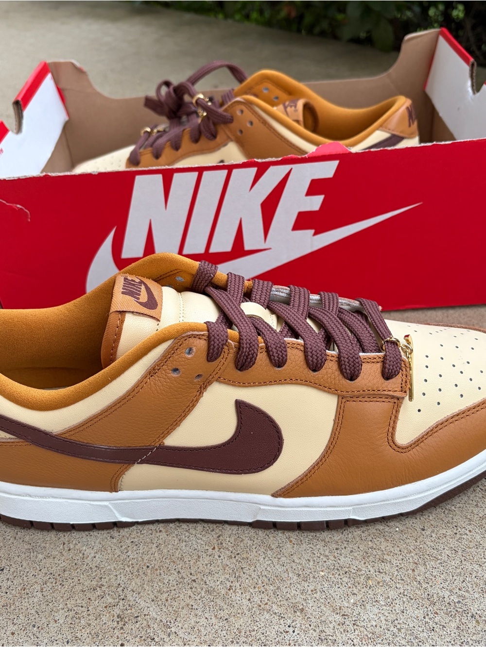Nike Dunk SE Low Desert Ochre Fauna Brown Women=11 Men=9.5 New! HQ7487-700